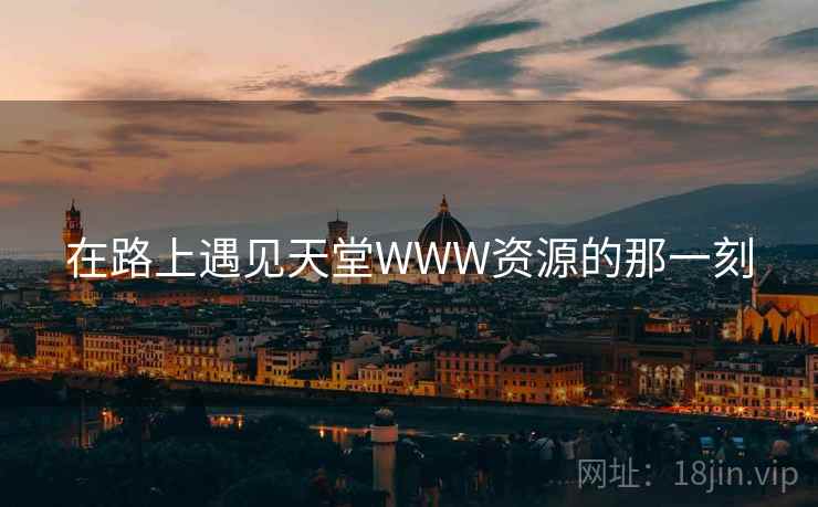 在路上遇见天堂WWW资源的那一刻