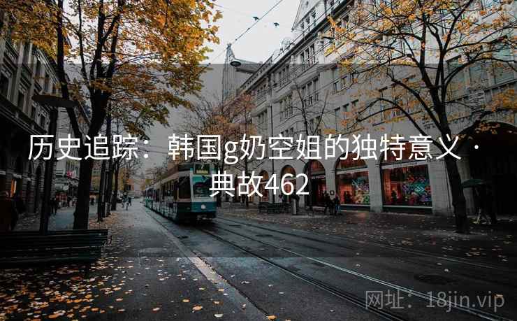 历史追踪：韩国g奶空姐的独特意义 · 典故462